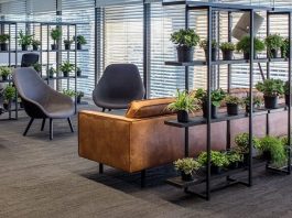 GREENERY IN OFFICES AND FACTORIES